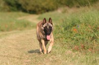 /album/fotogalerie-axis-nieder-bohemia1/ax-9-m-jpg/